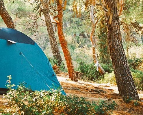 tenda nel bosco